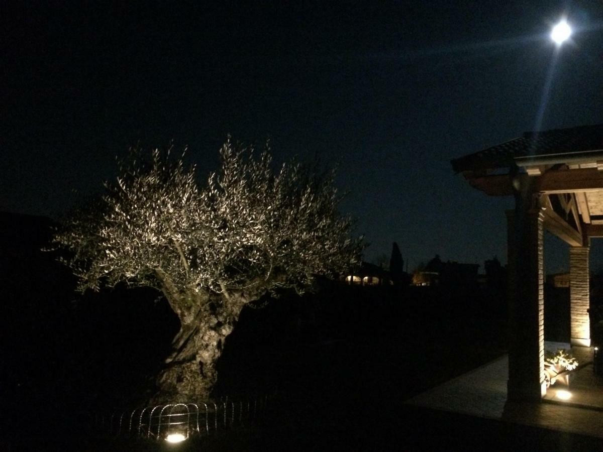 Villarosa Santa Lucia di Piave 外观 照片